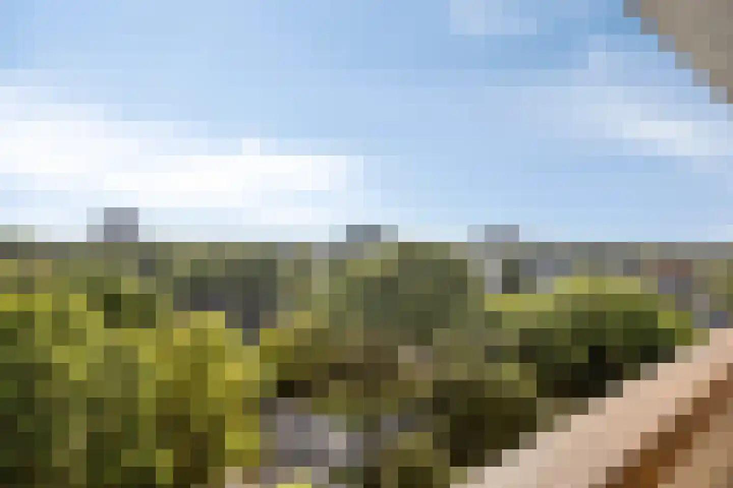 Raamveld 171 Geldrop thumbnail 18