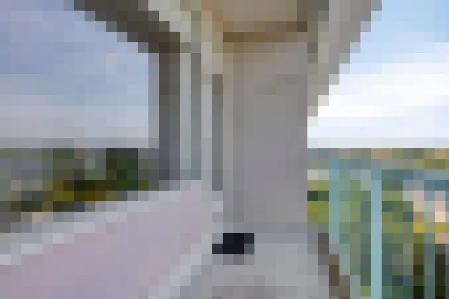 Raamveld 171 Geldrop thumbnail 24