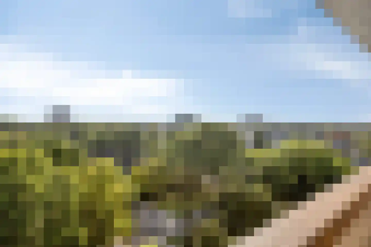 Raamveld 171 Geldrop thumbnail 40