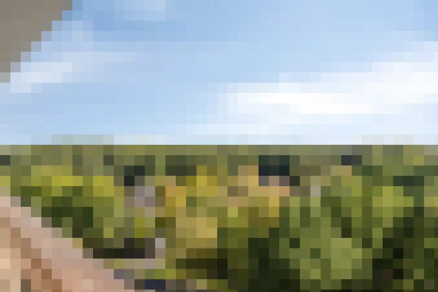 Raamveld 171 Geldrop thumbnail 41