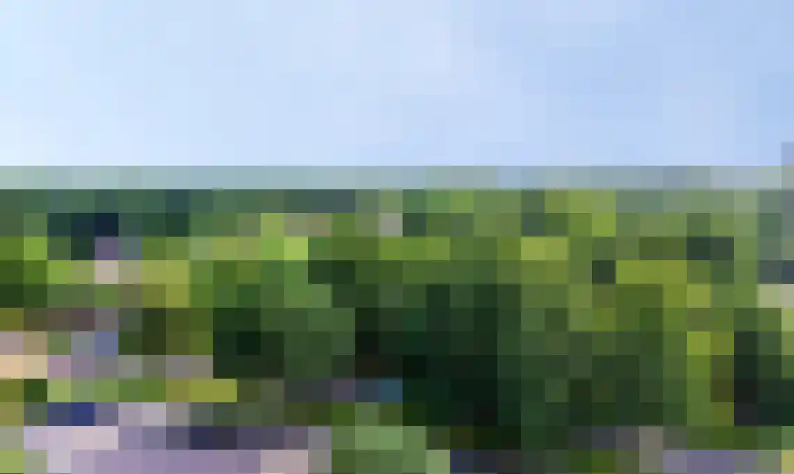 Raamveld 171 Geldrop thumbnail 45