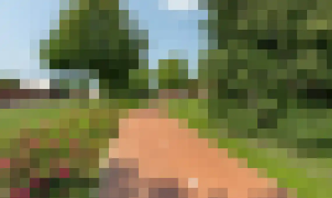 Raamveld 171 Geldrop thumbnail 46