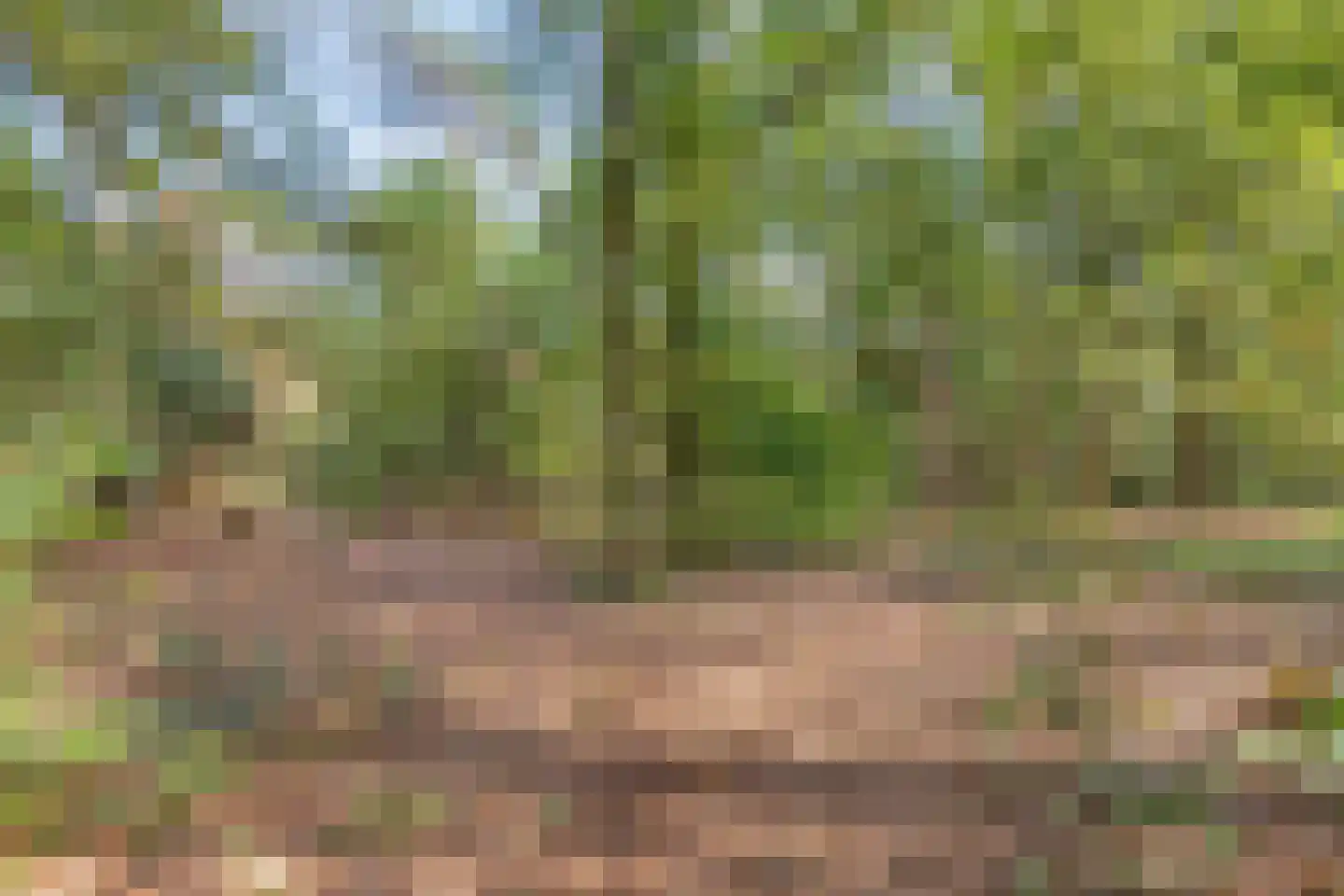 Raamveld 171 Geldrop thumbnail 47