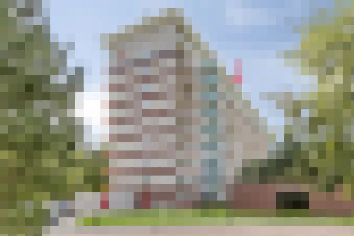 Raamveld 171 Geldrop thumbnail 8