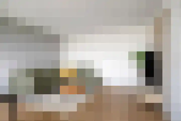 Raamveld 41 Geldrop thumbnail 11