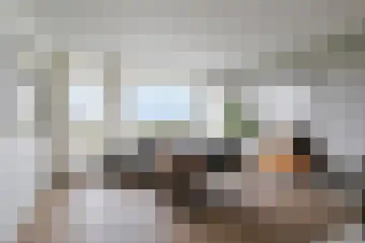Raamveld 41 Geldrop thumbnail 13