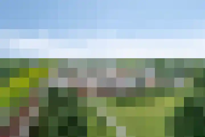 Raamveld 41 Geldrop thumbnail 15