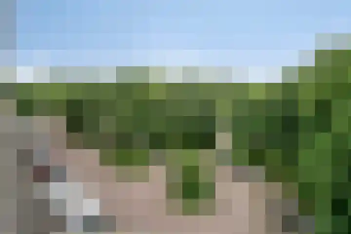 Raamveld 41 Geldrop thumbnail 16