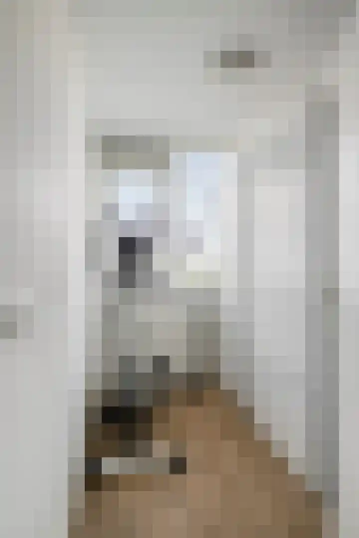Raamveld 41 Geldrop thumbnail 22