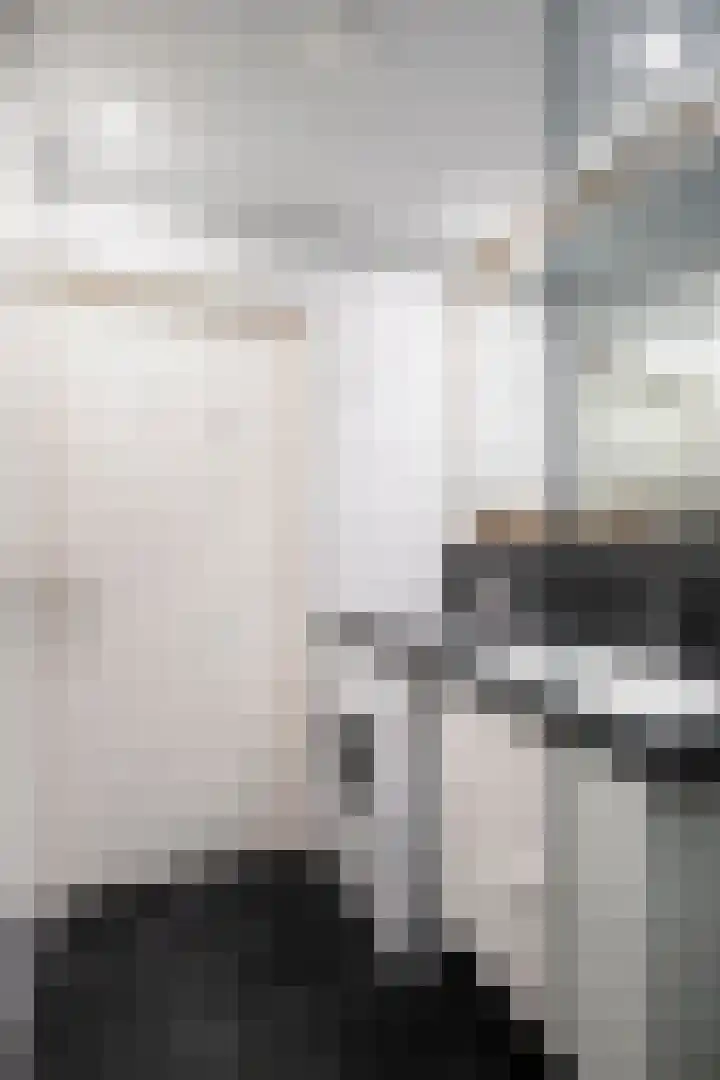 Raamveld 41 Geldrop thumbnail 27
