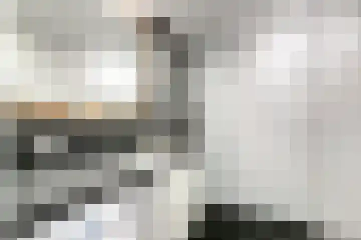 Raamveld 41 Geldrop thumbnail 4