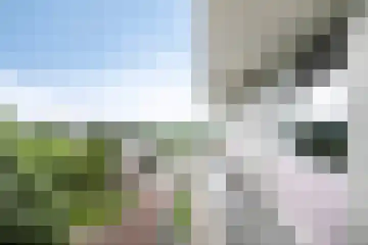 Raamveld 41 Geldrop thumbnail 8