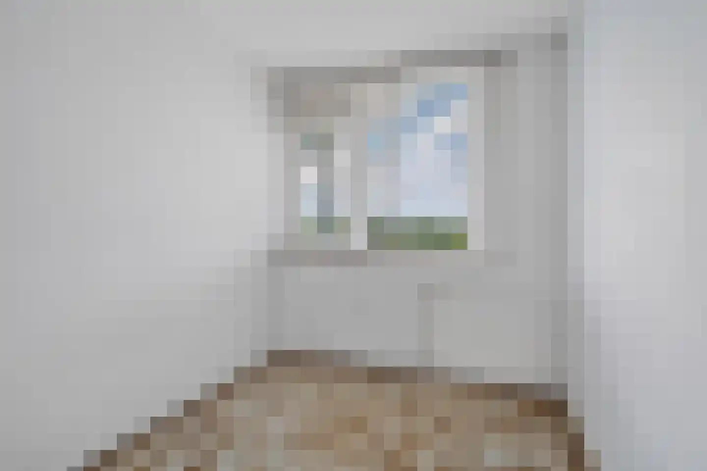 Raamveld 55 Geldrop thumbnail 17
