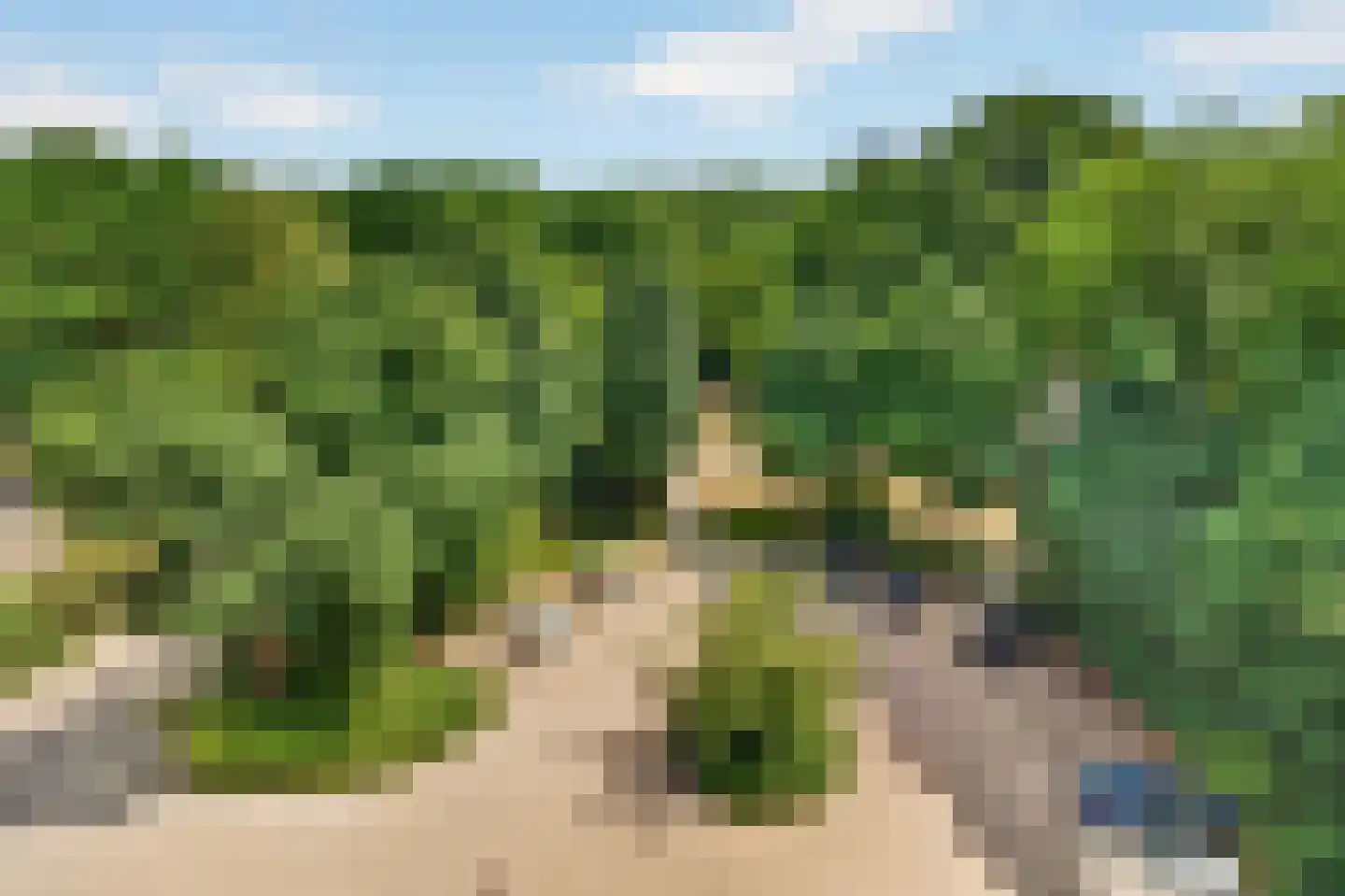 Raamveld 55 Geldrop thumbnail 23