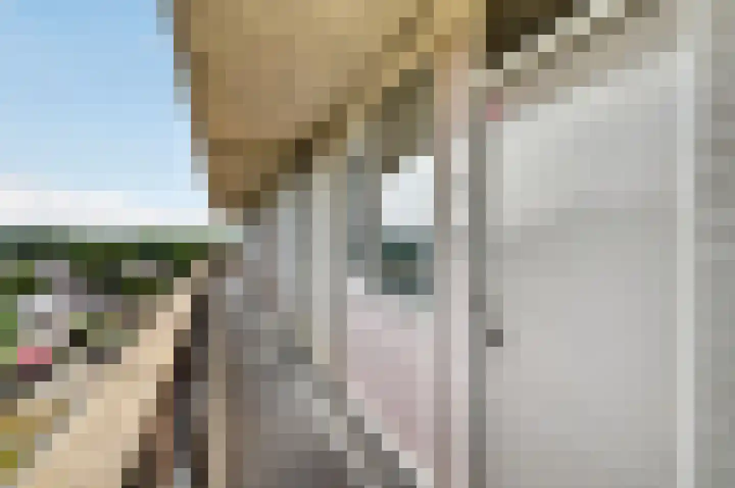 Raamveld 55 Geldrop thumbnail 6