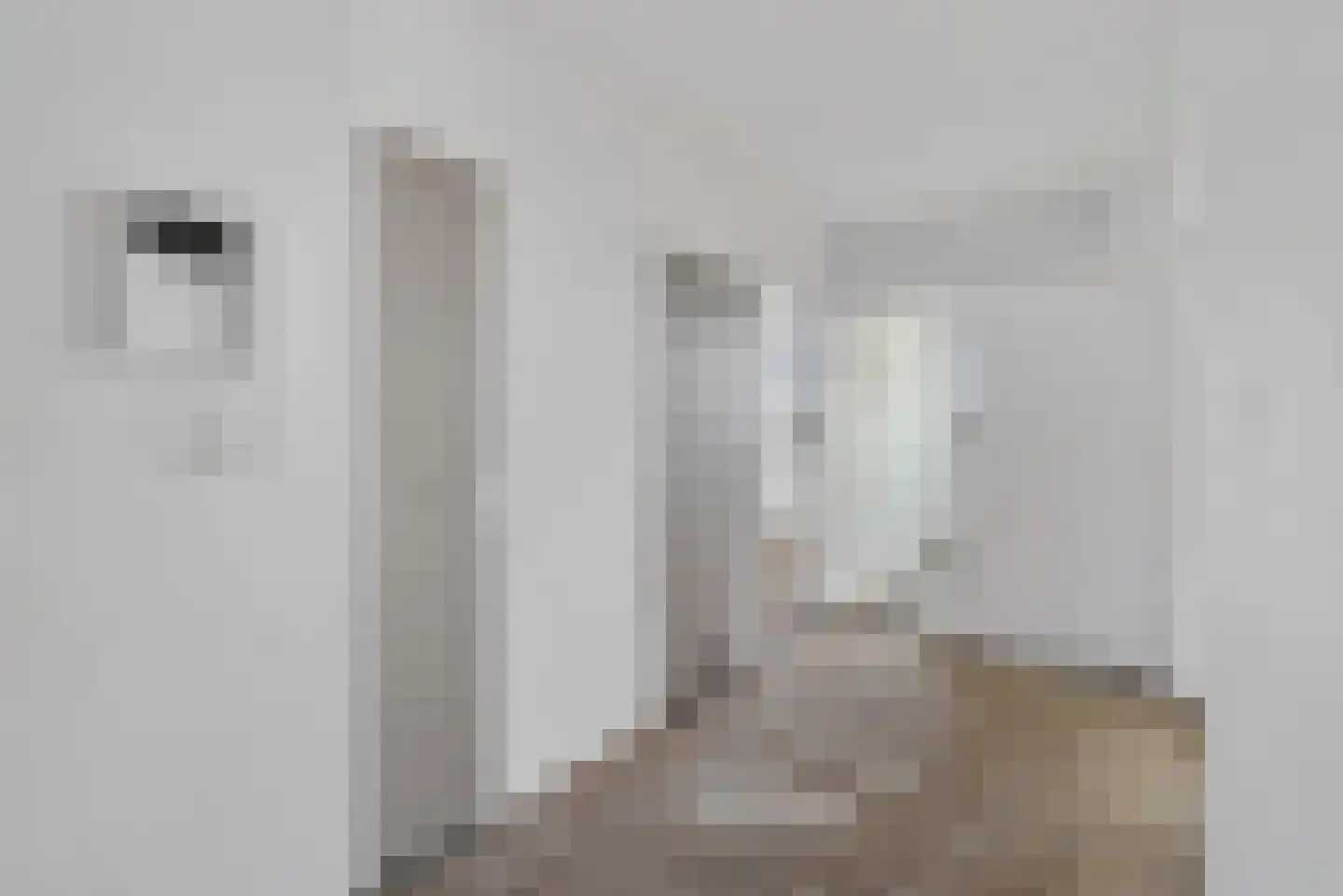 Raamveld 55 Geldrop thumbnail 8