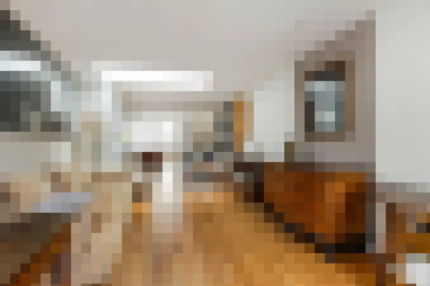 Raamvest 27 Haarlem thumbnail 12