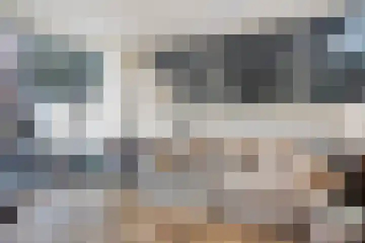 Raamvest 27 Haarlem thumbnail 12