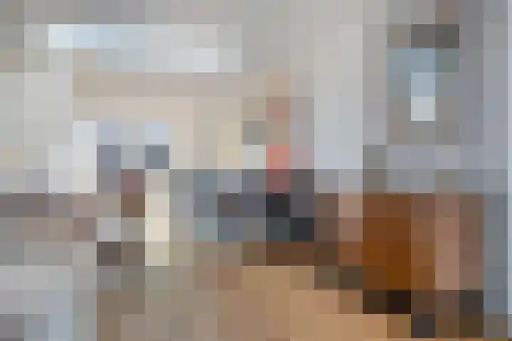 Raamvest 27 Haarlem thumbnail 13