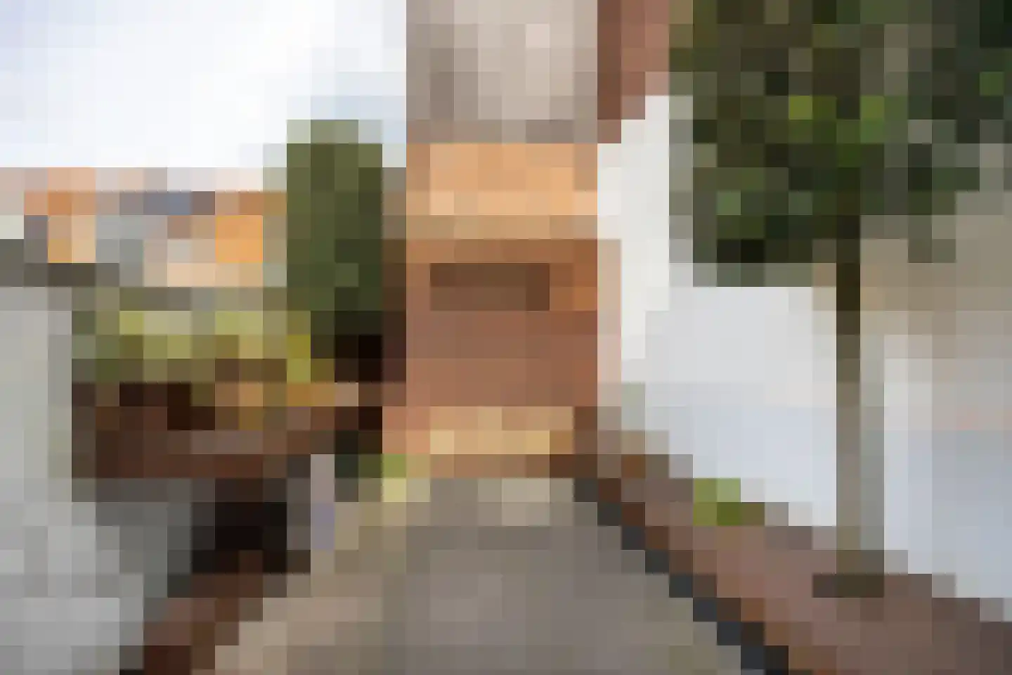 Raamvest 27 Haarlem thumbnail 17
