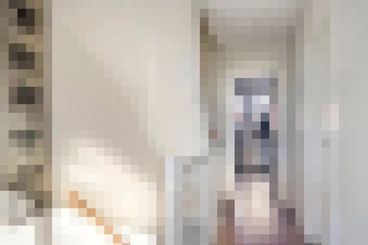 Raamvest 27 Haarlem thumbnail 19