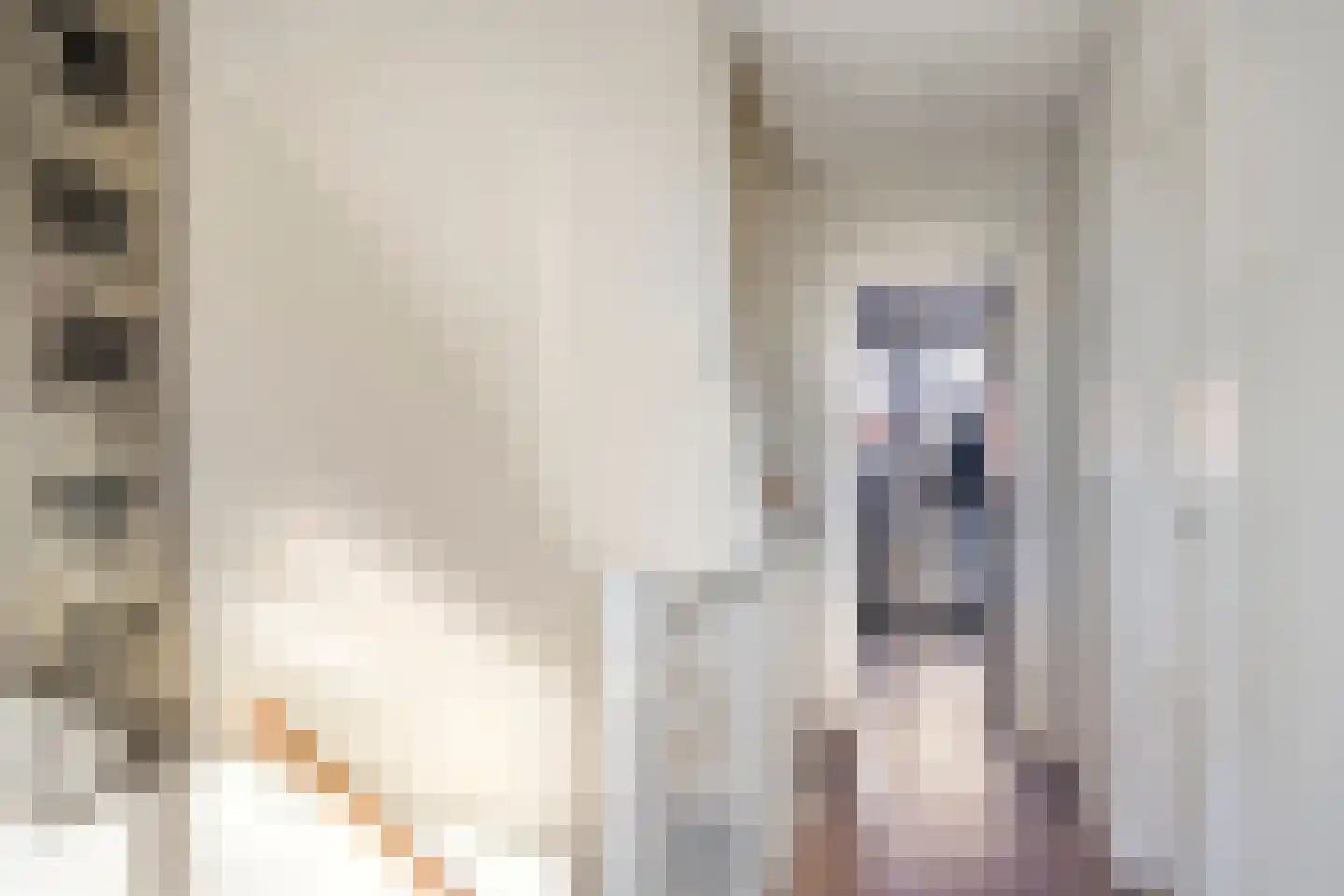 Raamvest 27 Haarlem thumbnail 21