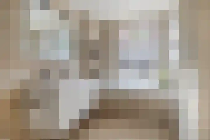 Raamvest 27 Haarlem thumbnail 24