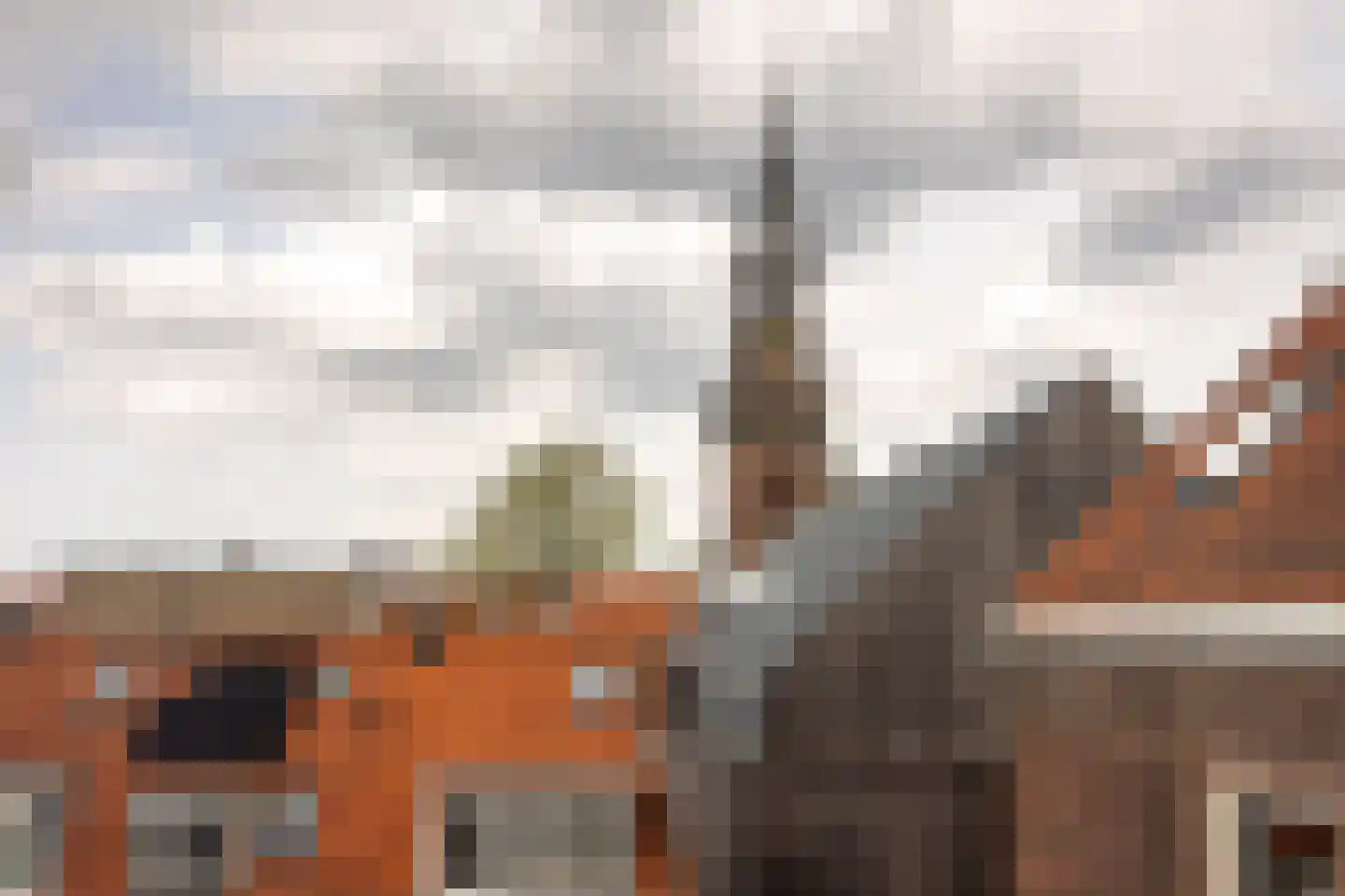 Raamvest 27 Haarlem thumbnail 29