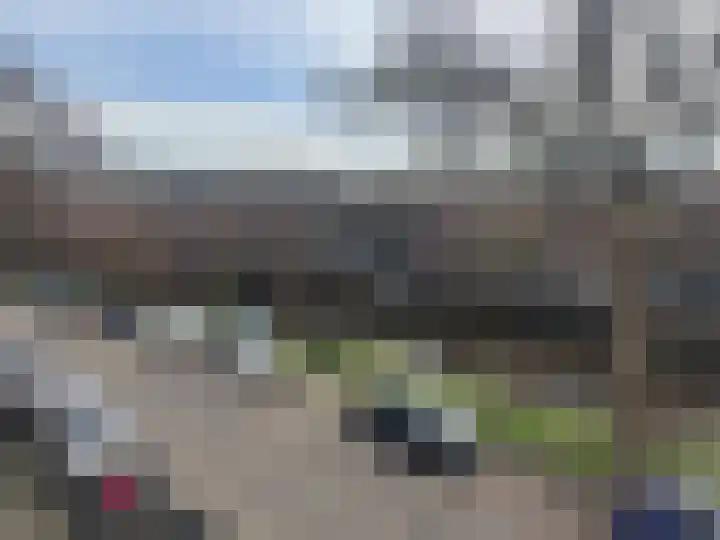 Raamvest 27 Haarlem thumbnail 33