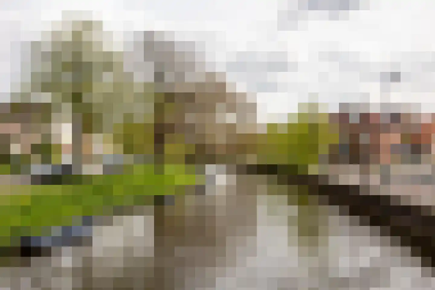 Raamvest 27 Haarlem thumbnail 35