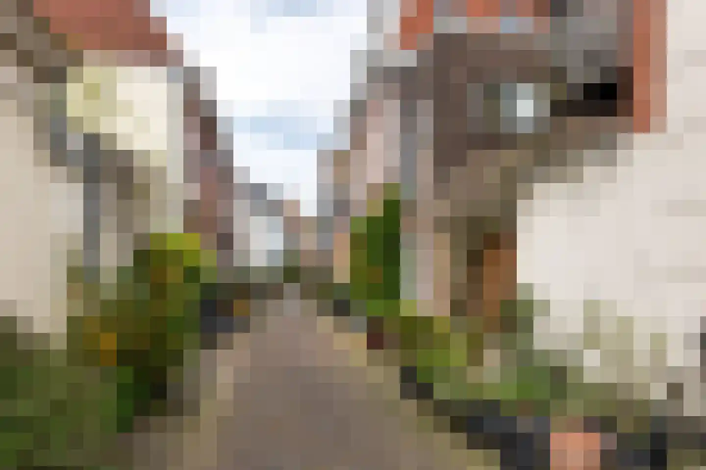 Raamvest 27 Haarlem thumbnail 37