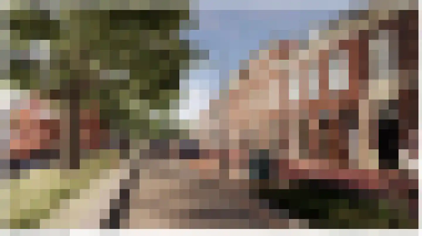 Raamvest 27 Haarlem thumbnail 38