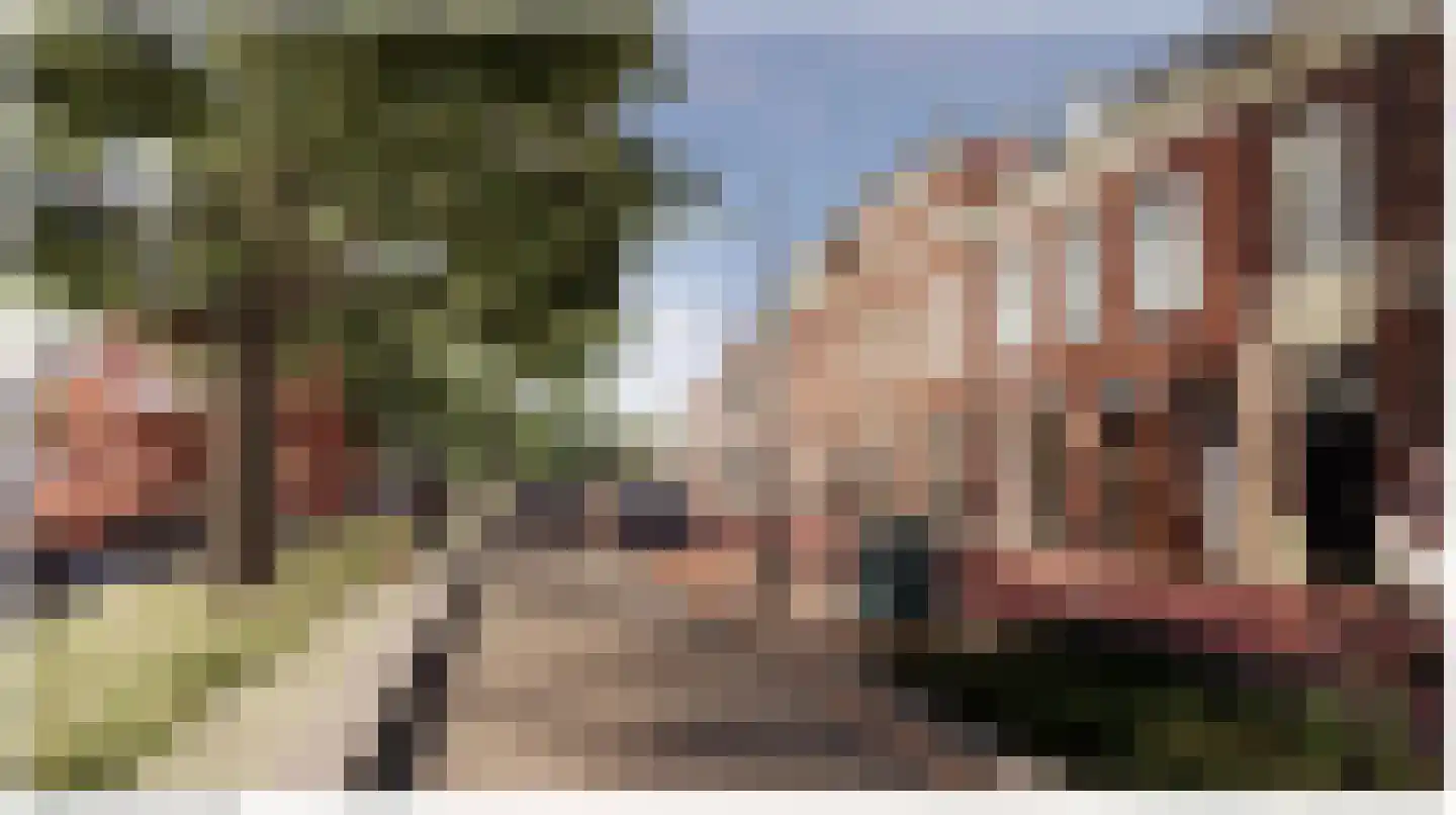 Raamvest 27 Haarlem thumbnail 40