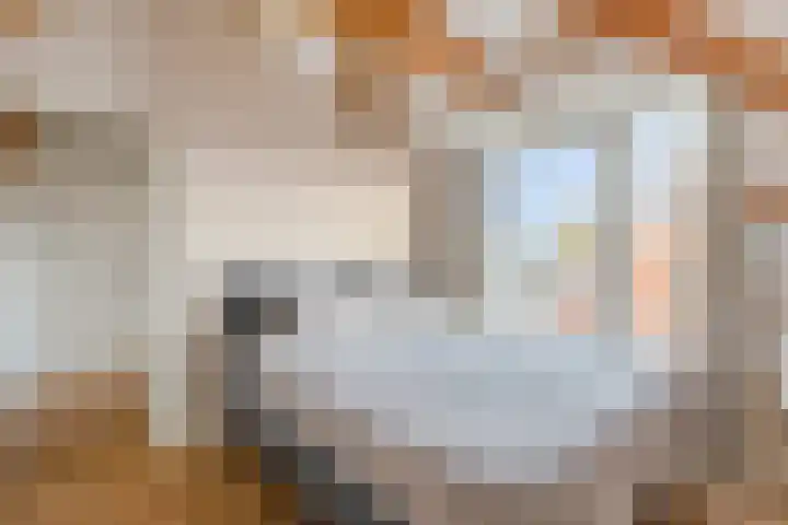 Raamvest 35 B Haarlem thumbnail 4