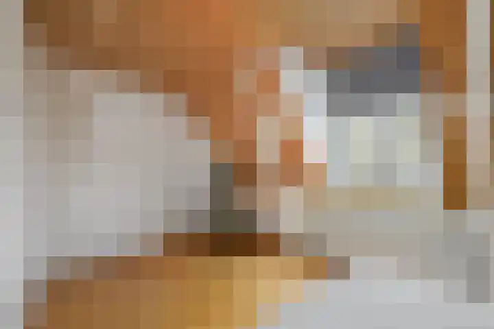 Raamvest 45 RD Haarlem thumbnail 20