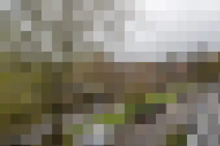 Raamvest 45 RD Haarlem thumbnail 21