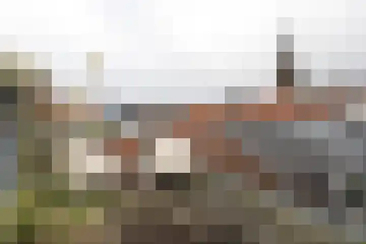 Raamvest 45 RD Haarlem thumbnail 25