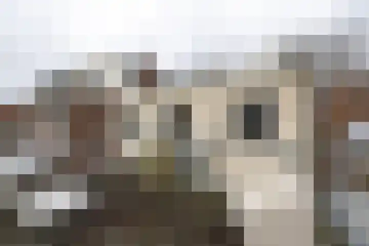 Raamvest 45 RD Haarlem thumbnail 26