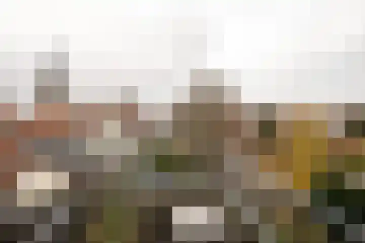 Raamvest 45 RD Haarlem thumbnail 27
