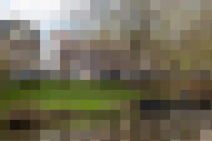 Raamvest 45 RD Haarlem thumbnail 28