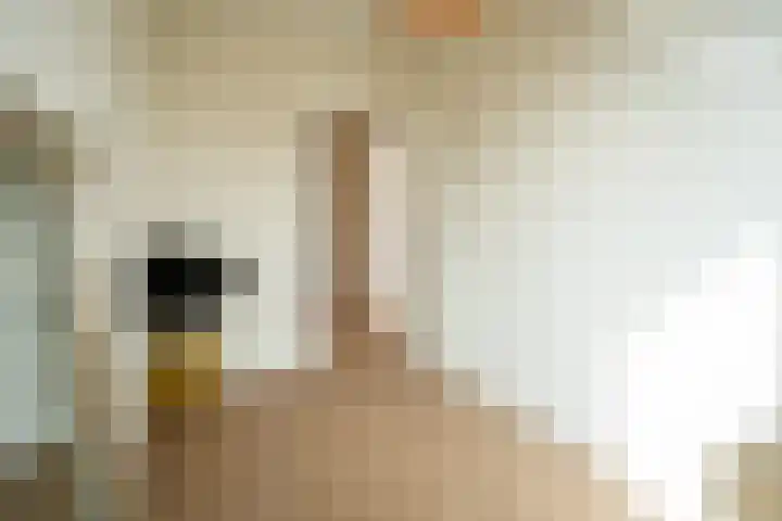 Raamweg 1 A 1 Den Haag thumbnail 13