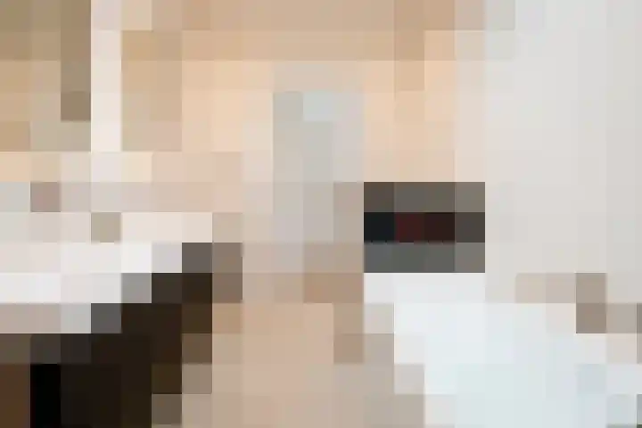 Raamweg 1 A 1 Den Haag thumbnail 23
