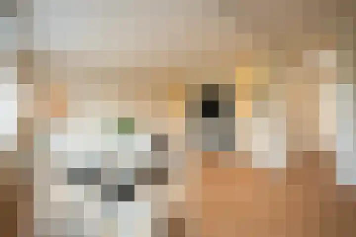 Raamweg 1 A 1 Den Haag thumbnail 4