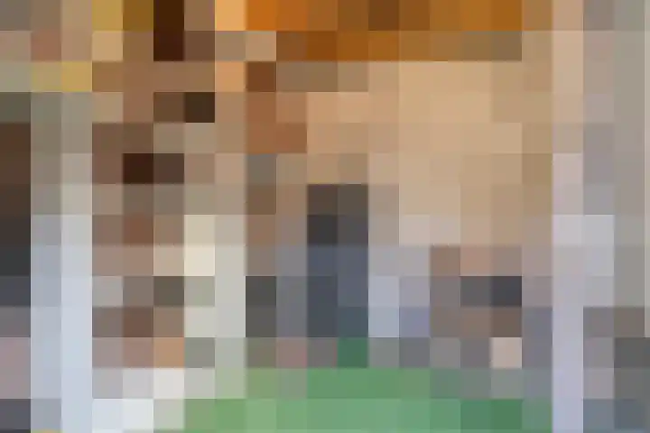 Raamweg 1 Wanroij thumbnail 20