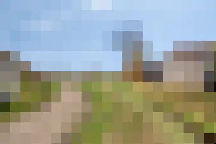 Raamweg 1 Wanroij thumbnail 24