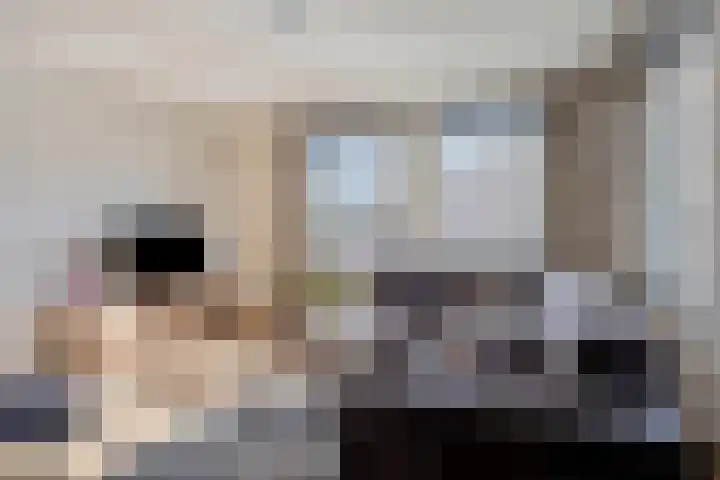 Raamweg 1 Wanroij thumbnail 6