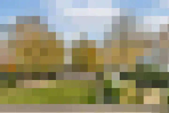Raamweg 12 D Den Haag thumbnail 18