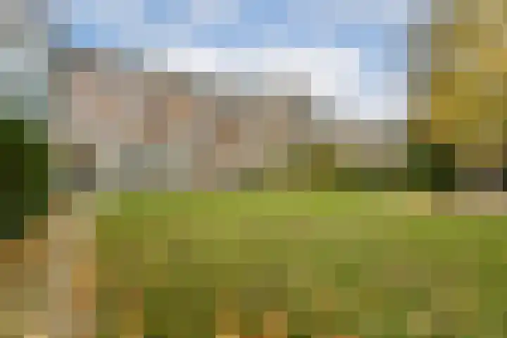Raamweg 12 D Den Haag thumbnail 19