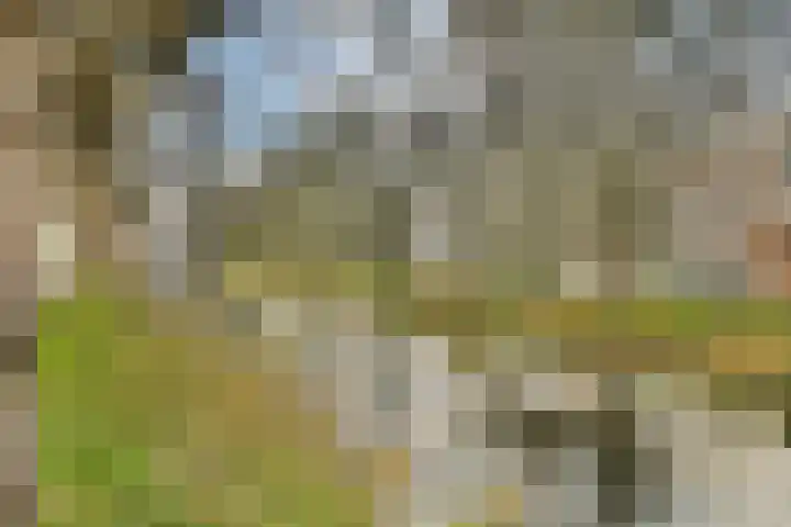 Raamweg 12 D Den Haag thumbnail 22