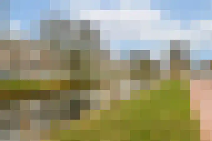 Raamweg 12 D Den Haag thumbnail 23